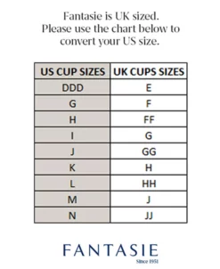 FANTASIE Illusion Underwire Side Support Bra -VINCE CAMUTO Shop 21741881 fpx